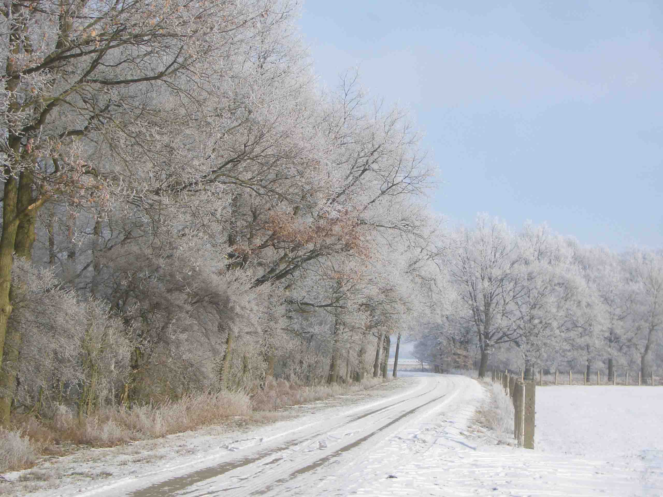 Februar1