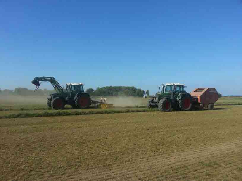 Gras-einreihen-und-pressen