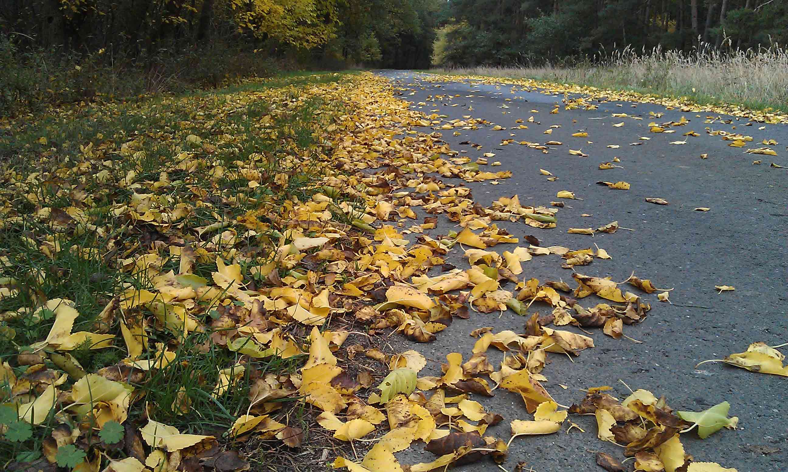Herbst2012