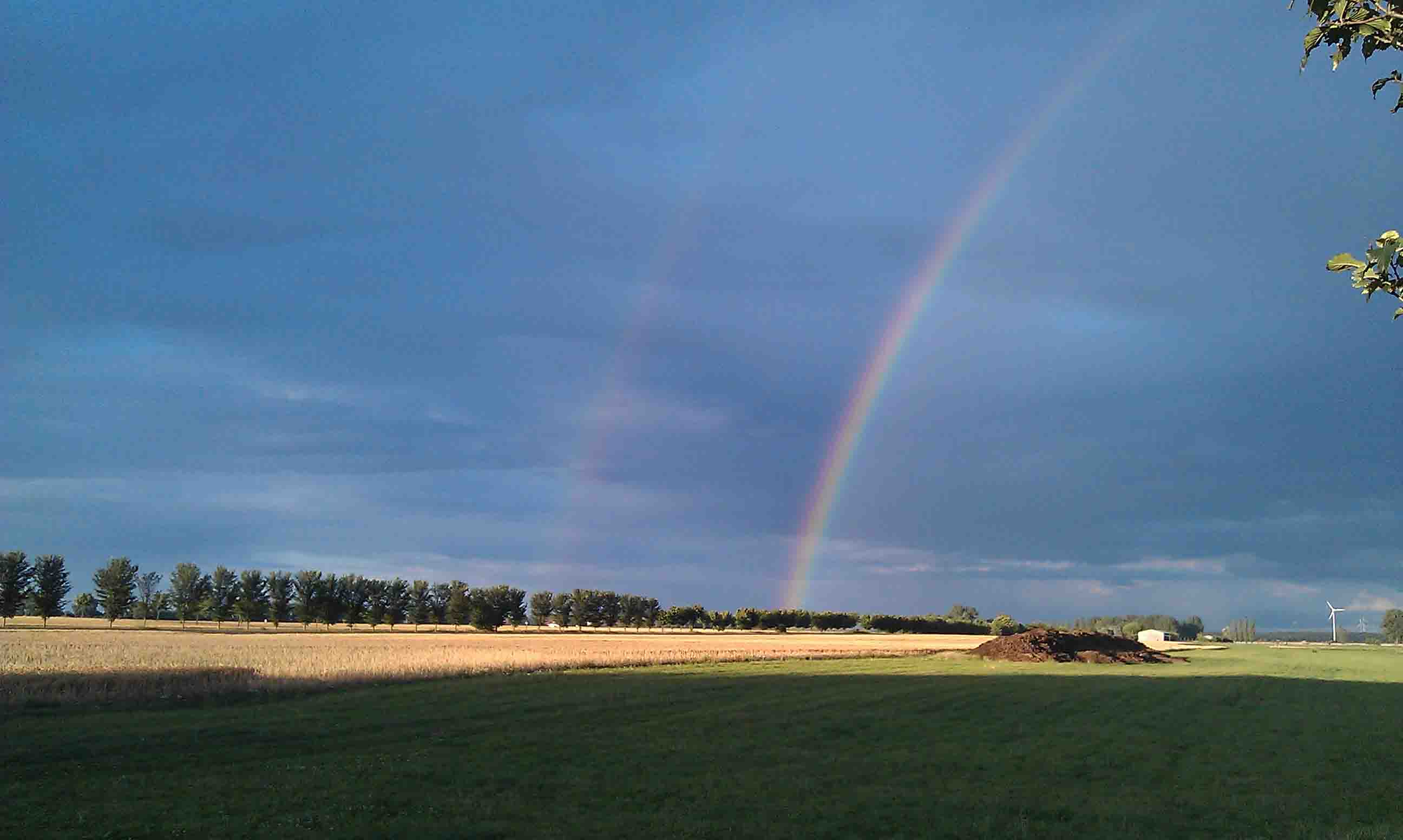 Juliwetter