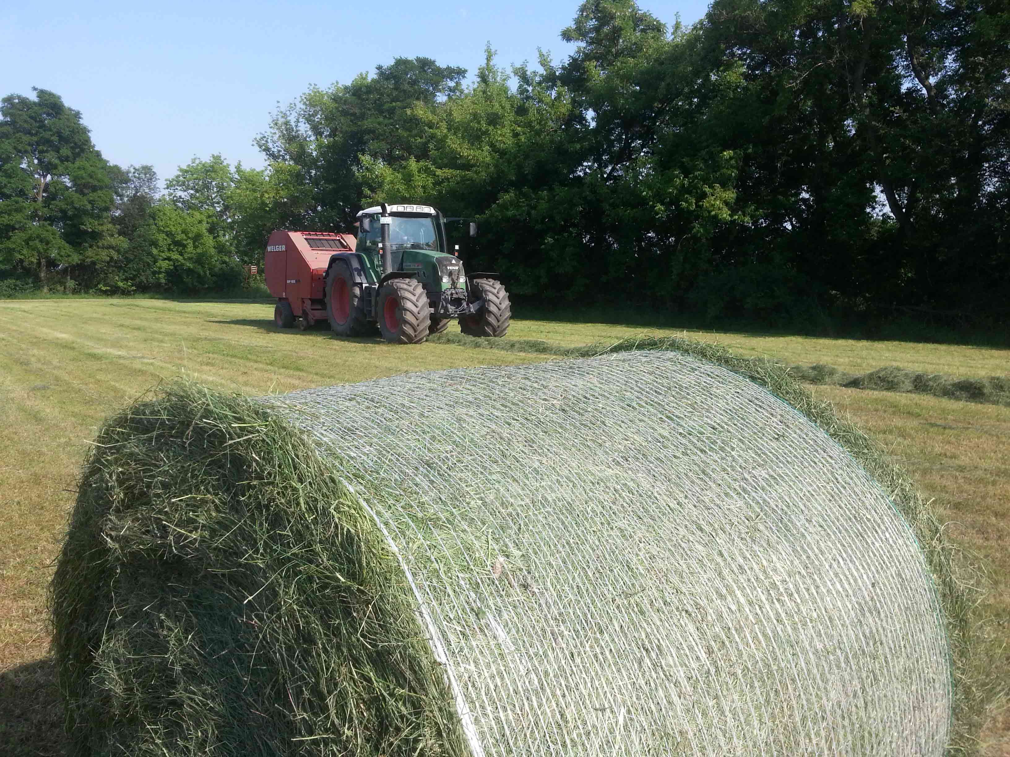 Silageballen13