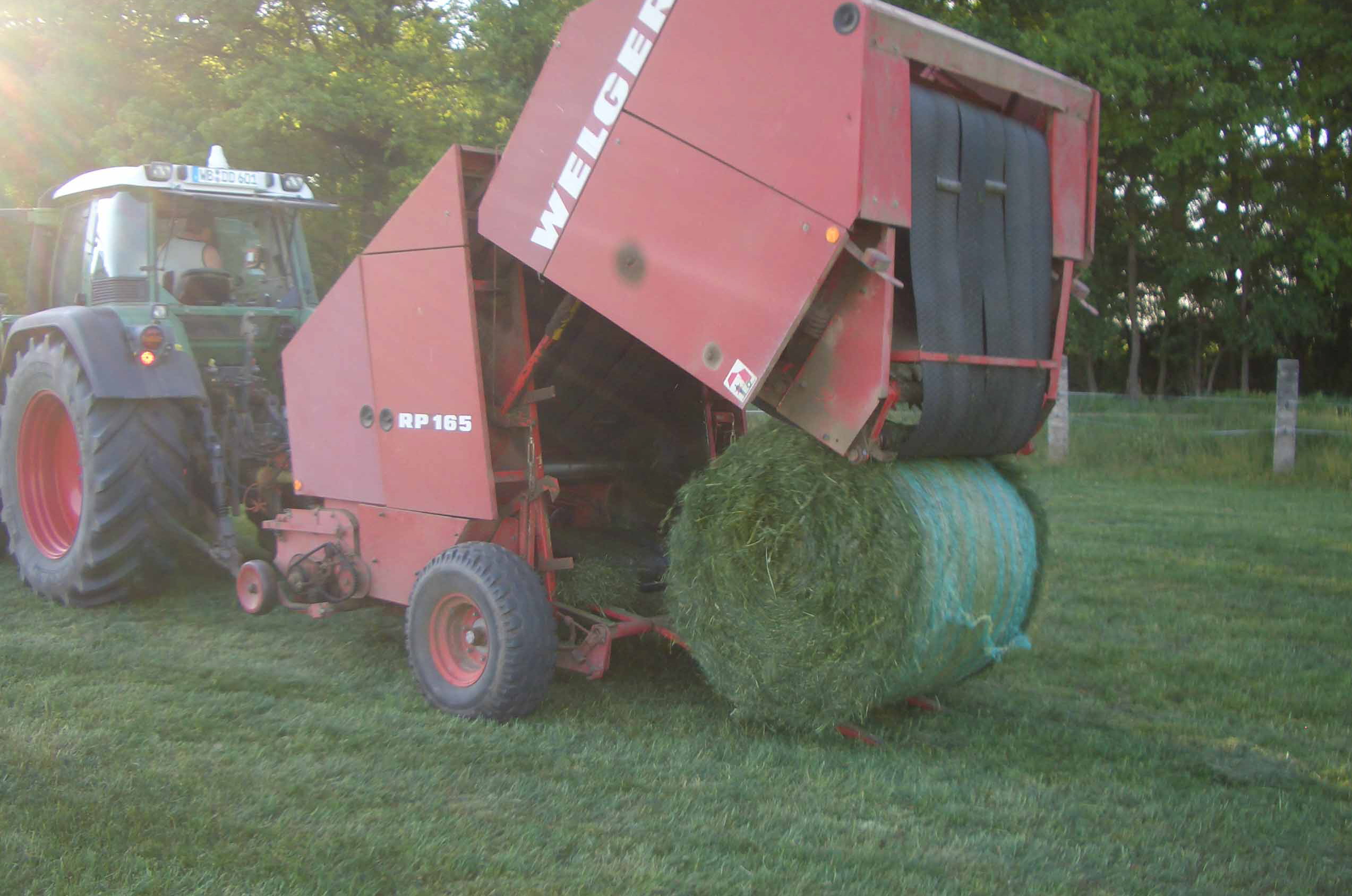 Silageballen 