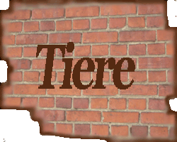 Tiere
