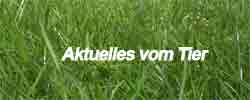 aktuelles-vom-Tier