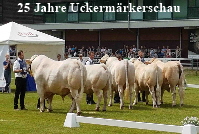 25. Jahre Uckermrker Schau