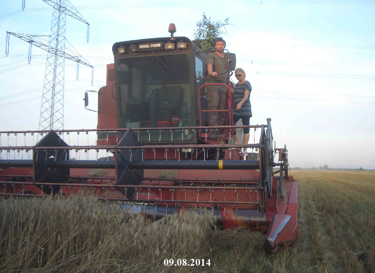 Ernteabschluss090814