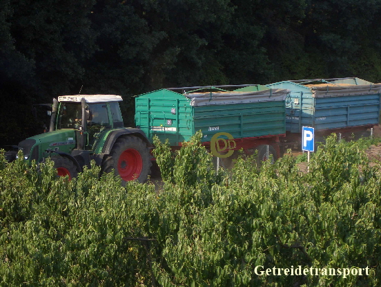 Getreidetransport2008 Kopie