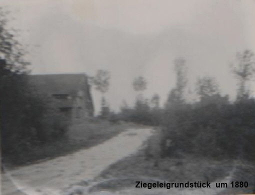 Haus1