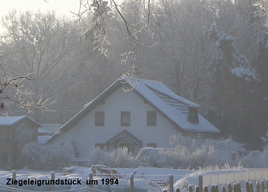 Haus im Winter