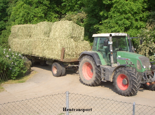 Heutransport