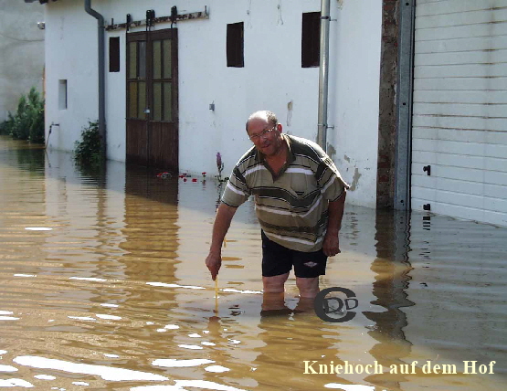 Kniehoch Kopie