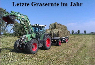 Letzter-Schnitt