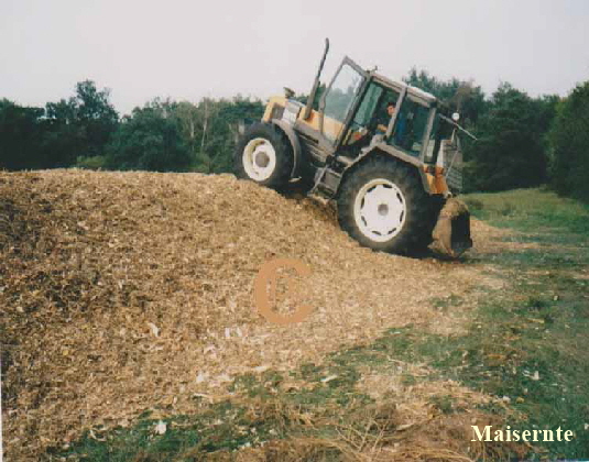 Maissilageernte92 Kopie