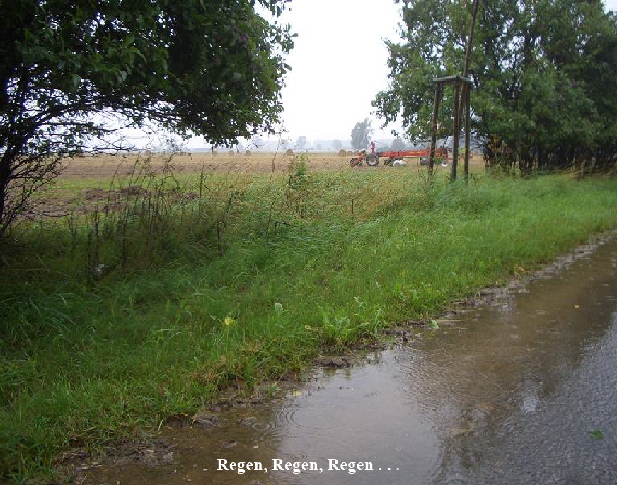 Regen2