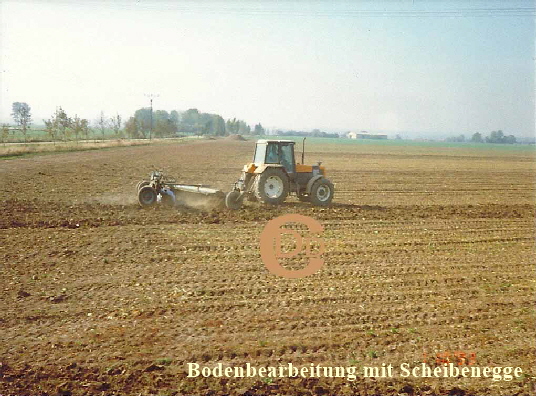 Renault Scheibenegge Top Kopie