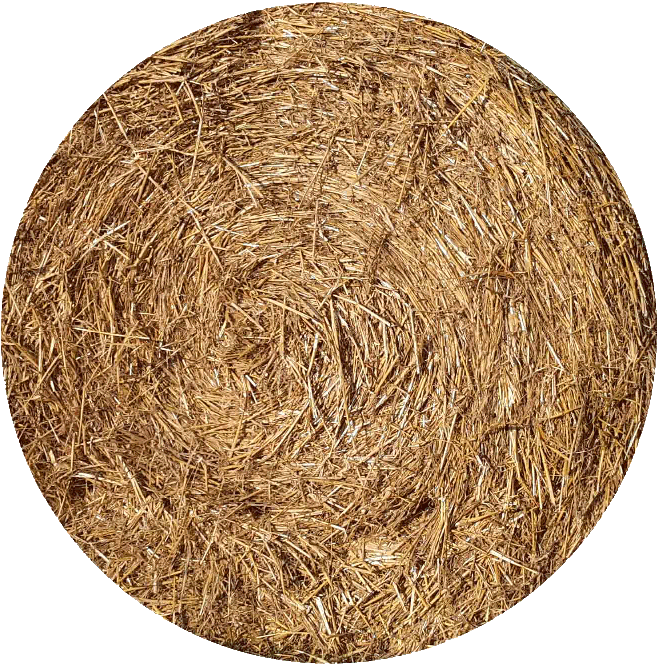 Stroh1