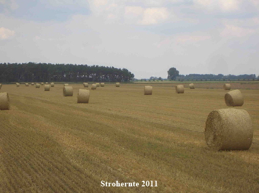 Strohballen1