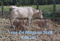 Zwillinge2014