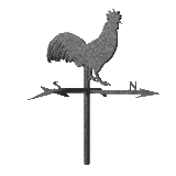 huhn-0074