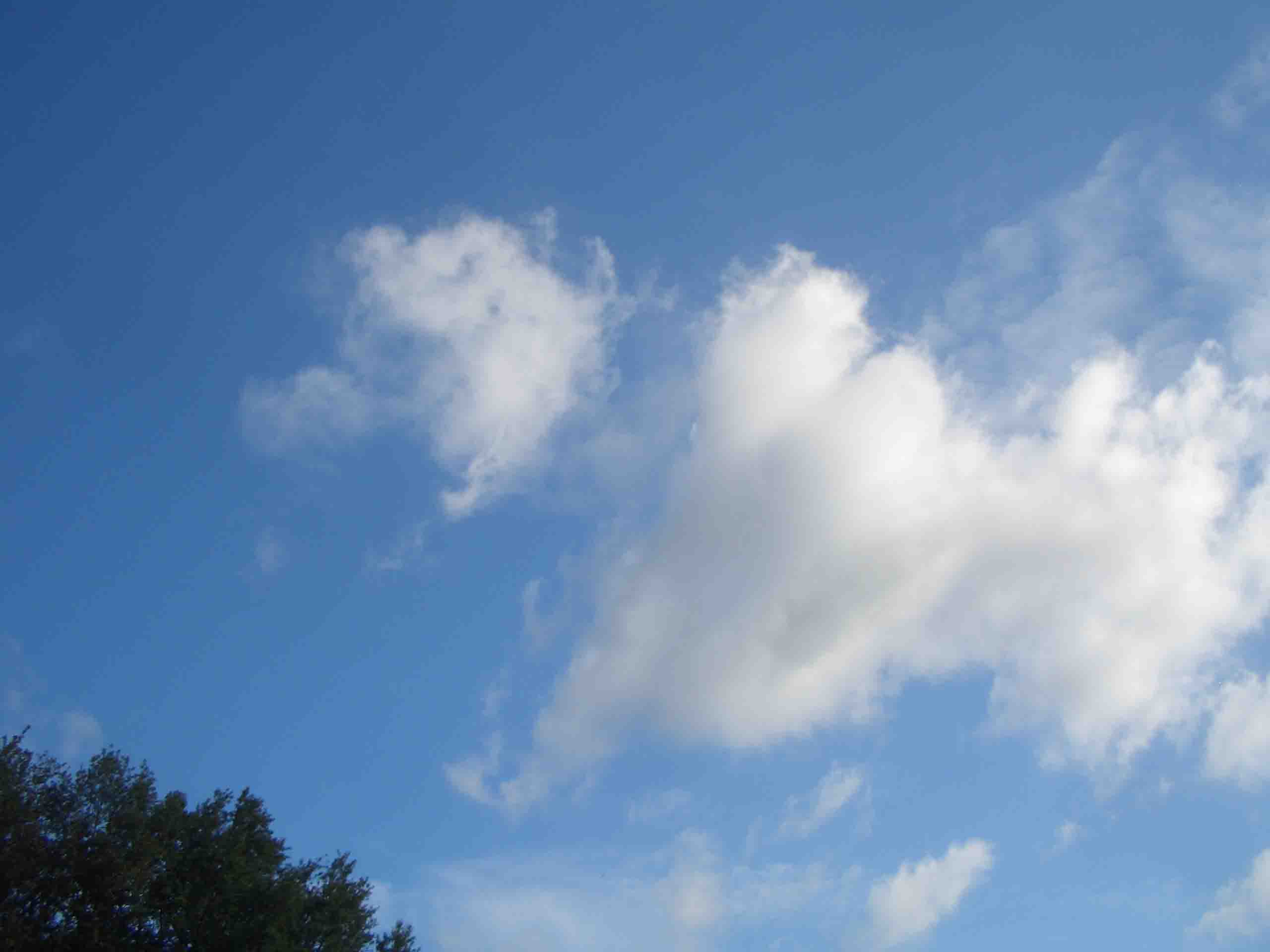 sonnig